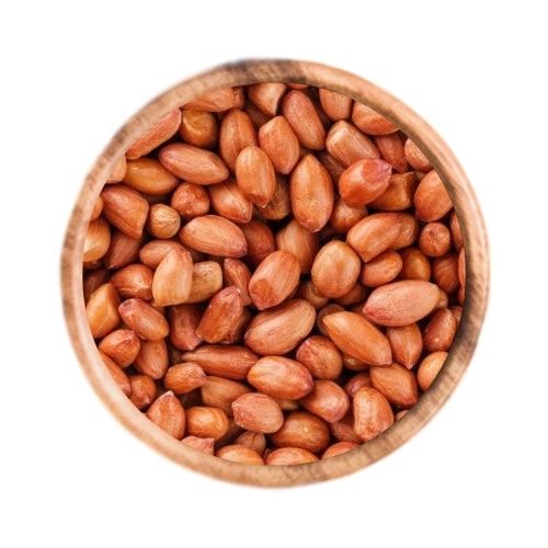 Bold groundnut