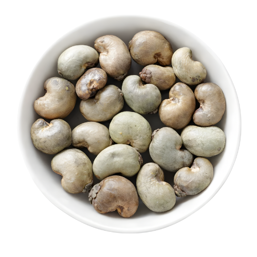 Raw Cashew
