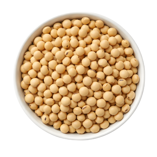 Soybean Seeds